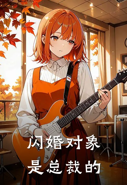 闪婚对象是总裁的